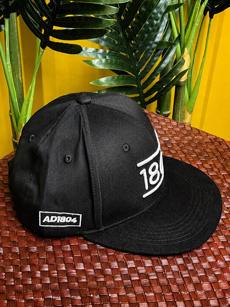 1804 Noir Suede Snapback - Limited Edition